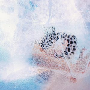 咬女生小头头视频
